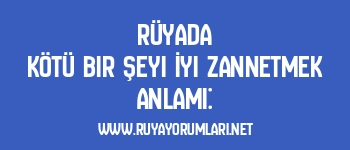 Rüyada Kötü Bir Şeyi İyi Zannetmek Anlamı: