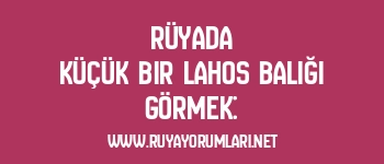 Rüyada Küçük Bir Lahos Balığı Görmek: