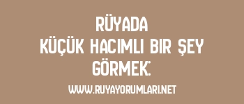 Rüyada Küçük Hacimli Bir Şey Görmek:
