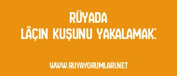 Rüyada Lâçin Kuşunu Yakalamak: