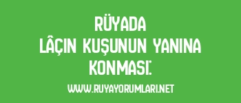 Rüyada Lâçin Kuşunun Yanına Konması: