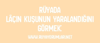 Rüyada Lâçin Kuşunun Yaralandığını Görmek: