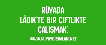 Rüyada Lâdik’te Bir Çiftlikte Çalışmak: