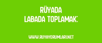 Rüyada Labada Toplamak: