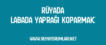 Rüyada Labada Yaprağı Koparmak: