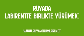 Rüyada Labirentte Birlikte Yürümek: