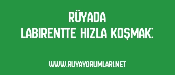 Rüyada Labirentte Hızla Koşmak: