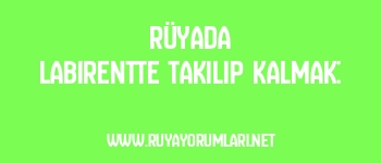 Rüyada Labirentte Takılıp Kalmak: