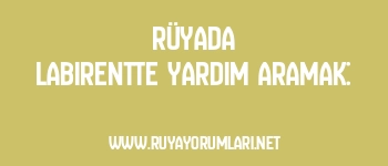 Rüyada Labirentte Yardım Aramak: