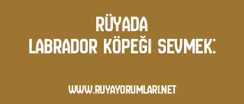 Rüyada Labrador Köpeği Sevmek: