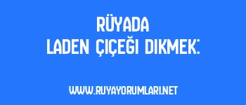 Rüyada Laden Çiçeği Dikmek: