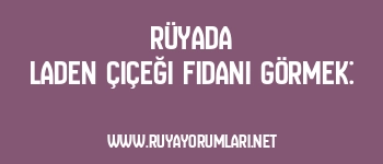 Rüyada Laden Çiçeği Fidanı Görmek: