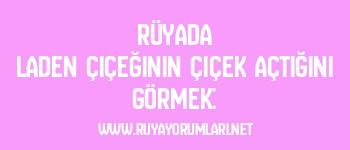 Rüyada Laden Çiçeğinin Çiçek Açtığını Görmek: