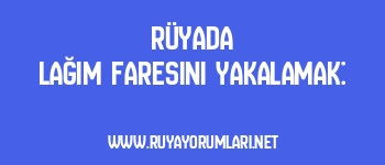 Rüyada Lağım Faresini Yakalamak: