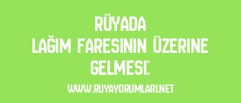 Rüyada Lağım Faresinin Üzerine Gelmesi: