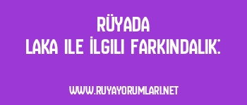 Rüyada Laka ile İlgili Farkındalık: