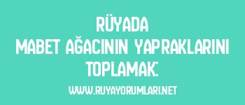 Rüyada Mabet Ağacının Yapraklarını Toplamak: