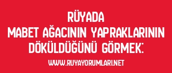 Rüyada Mabet Ağacının Yapraklarının Döküldüğünü Görmek: