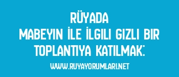 Rüyada Mabeyin İle İlgili Gizli Bir Toplantıya Katılmak: