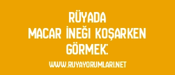 Rüyada Macar İneği Koşarken Görmek: