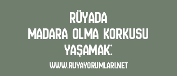 Rüyada Madara Olma Korkusu Yaşamak: