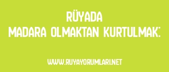 Rüyada Madara Olmaktan Kurtulmak: