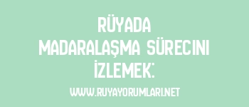 Rüyada Madaralaşma Sürecini İzlemek: