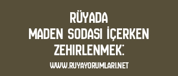 Rüyada Maden Sodası İçerken Zehirlenmek: