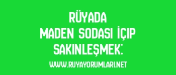 Rüyada Maden Sodası İçip Sakinleşmek: