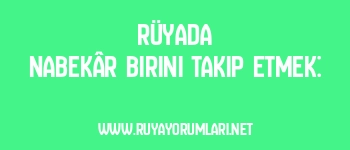 Rüyada Nabekâr Birini Takip Etmek: