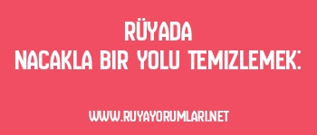 Rüyada Nacakla Bir Yolu Temizlemek:
