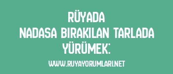 Rüyada Nadasa Bırakılan Tarlada Yürümek: