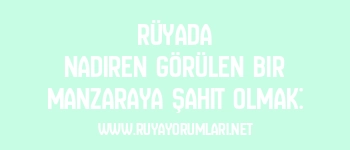Rüyada Nadiren Görülen Bir Manzaraya Şahit Olmak: