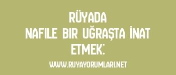 Rüyada Nafile Bir Uğraşta İnat Etmek: