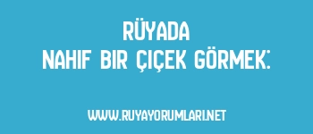 Rüyada Nahif Bir Çiçek Görmek:
