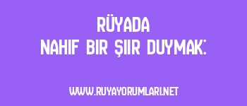 Rüyada Nahif Bir Şiir Duymak: