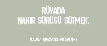 Rüyada Nahır Sürüsü Gütmek: