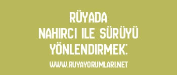 Rüyada Nahırcı ile Sürüyü Yönlendirmek: