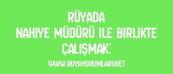 Rüyada Nahiye Müdürü ile Birlikte Çalışmak: