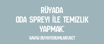 Rüyada Oda Spreyi İle Temizlik Yapmak: