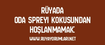 Rüyada Oda Spreyi Kokusundan Hoşlanmamak: