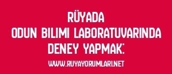 Rüyada Odun Bilimi Laboratuvarında Deney Yapmak: