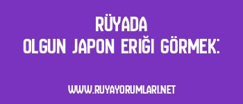 Rüyada Olgun Japon Eriği Görmek: