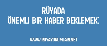 Rüyada Önemli Bir Haber Beklemek: