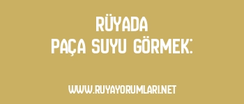 Rüyada Paça Suyu Görmek: