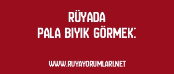 Rüyada Pala Bıyık Görmek: