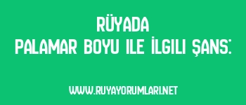 Rüyada Palamar Boyu ile İlgili Şans: