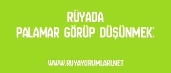 Rüyada Palamar Görüp Düşünmek: