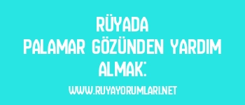 Rüyada Palamar Gözünden Yardım Almak:
