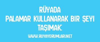Rüyada Palamar Kullanarak Bir Şeyi Taşımak: